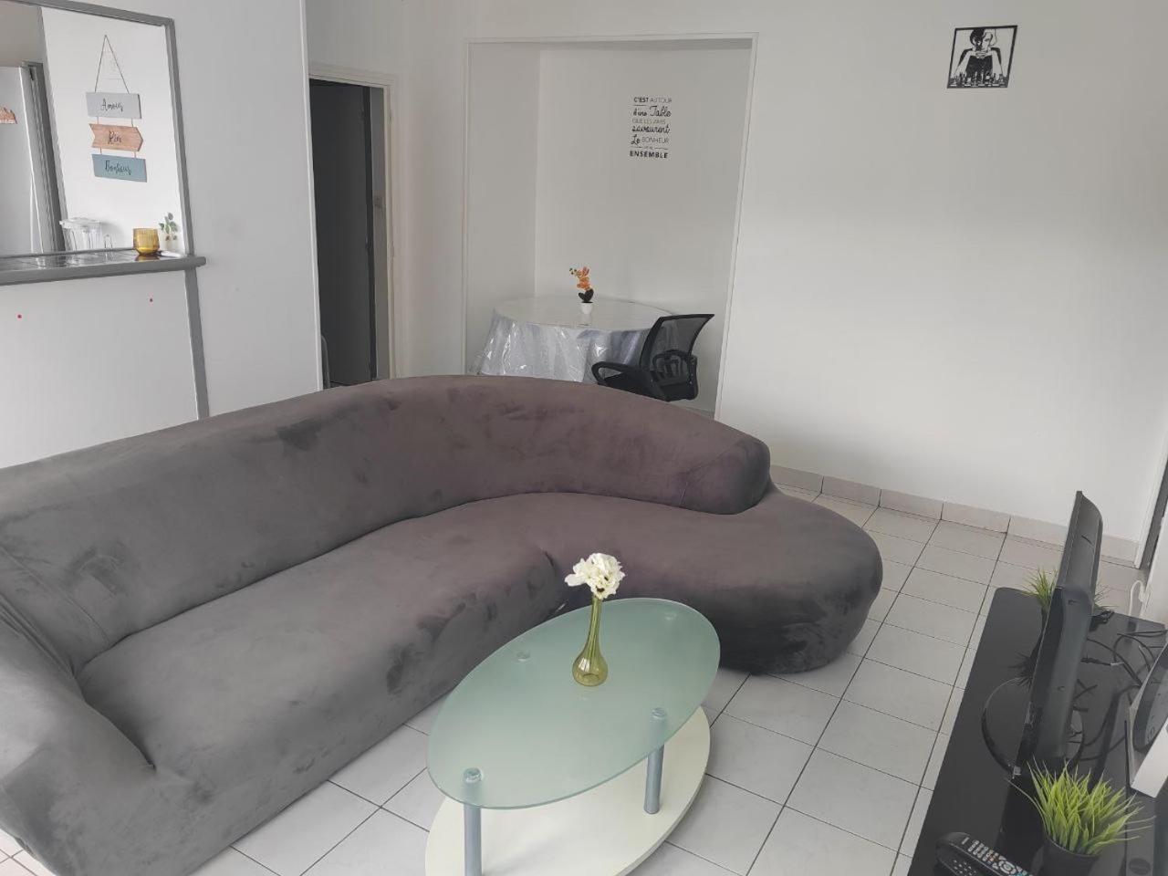 Une Chambre Dans Appartement Partage, Grenoble A 8 Min Du Centre-Ville エクステリア 写真